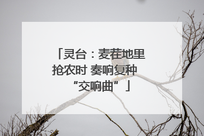 灵台：麦茬地里抢农时 奏响复种“交响曲”