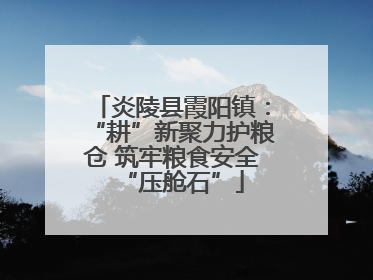 炎陵县霞阳镇：“耕”新聚力护粮仓 筑牢粮食安全“压舱石”