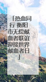 热血同行 衡阳市无偿献血者联谊迎接世界献血者日