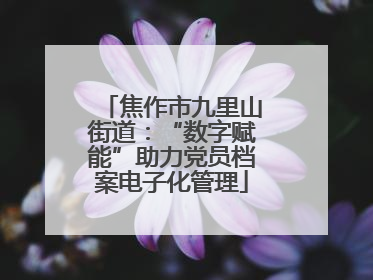 焦作市九里山街道：“数字赋能”助力党员档案电子化管理