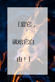 爱它，就给它自由！