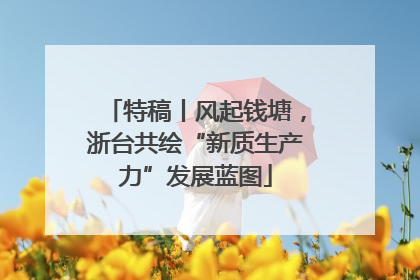 特稿丨风起钱塘，浙台共绘“新质生产力”发展蓝图