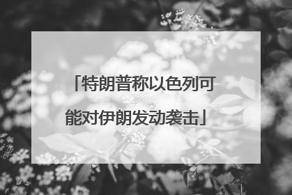 特朗普称以色列可能对伊朗发动袭击