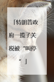 特朗普政府一揽子关税被“叫停”