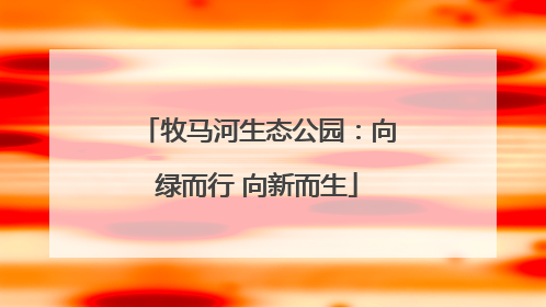 牧马河生态公园：向绿而行 向新而生