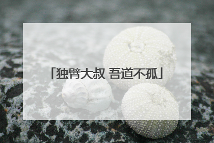 独臂大叔 吾道不孤