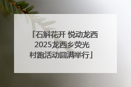 石斛花开 悦动龙西 2025龙西乡荧光村跑活动圆满举行