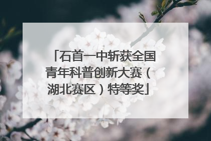 石首一中斩获全国青年科普创新大赛（湖北赛区）特等奖