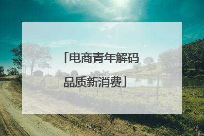 电商青年解码品质新消费