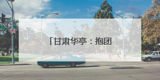 甘肃华亭：抱团“蔬”写菜文章 聚力拓宽致富路