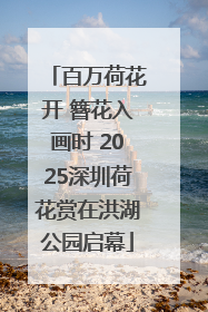 百万荷花开 簪花入画时 2025深圳荷花赏在洪湖公园启幕