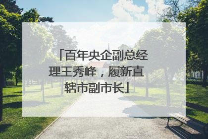 百年央企副总经理王秀峰，履新直辖市副市长