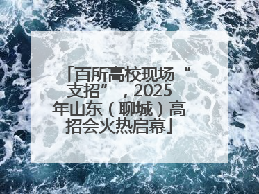 百所高校现场“支招”，2025年山东（聊城）高招会火热启幕