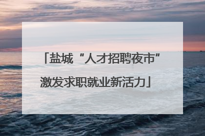 盐城“人才招聘夜市”激发求职就业新活力
