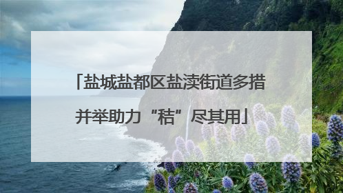 盐城盐都区盐渎街道多措并举助力“秸”尽其用