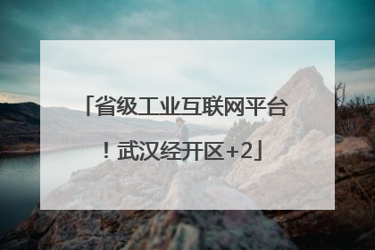 省级工业互联网平台！武汉经开区+2