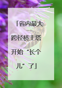 省内最大跨径桥主塔开始“长个儿”了