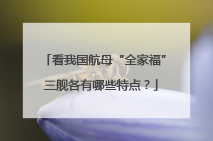 看我国航母“全家福” 三舰各有哪些特点？