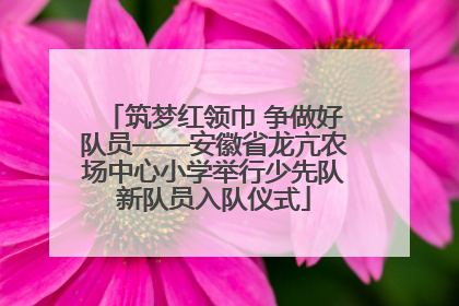 筑梦红领巾 争做好队员——安徽省龙亢农场中心小学举行少先队新队员入队仪式
