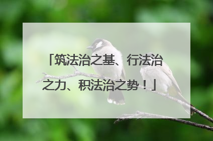 筑法治之基、行法治之力、积法治之势！