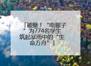 破壁！“电骡子”为774名学生筑起暴雨中的“生命方舟”