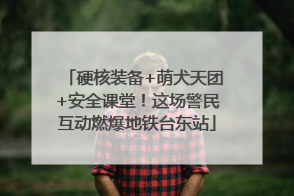 硬核装备+萌犬天团+安全课堂！这场警民互动燃爆地铁台东站