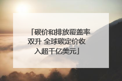 碳价和排放覆盖率双升 全球碳定价收入超千亿美元
