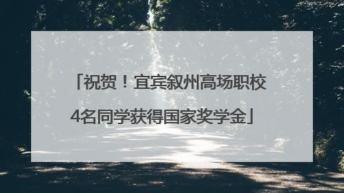 祝贺！宜宾叙州高场职校4名同学获得国家奖学金