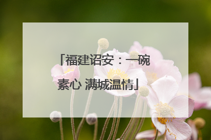 福建诏安：一碗素心 满城温情