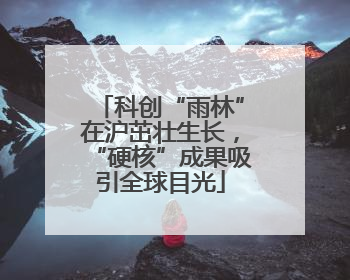 科创“雨林”在沪茁壮生长，“硬核”成果吸引全球目光