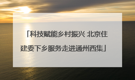 科技赋能乡村振兴 北京住建委下乡服务走进通州西集