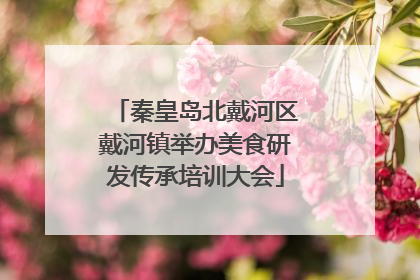 秦皇岛北戴河区戴河镇举办美食研发传承培训大会