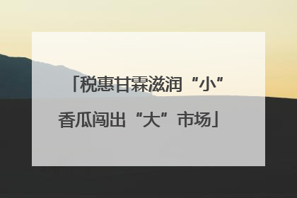 税惠甘霖滋润“小”香瓜闯出“大”市场