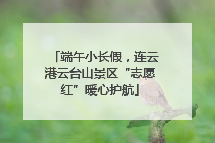 端午小长假，连云港云台山景区“志愿红”暖心护航