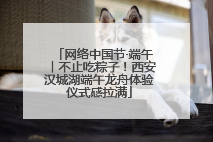 网络中国节·端午丨不止吃粽子！西安汉城湖端午龙舟体验仪式感拉满