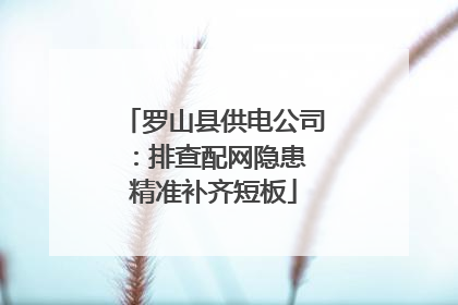 罗山县供电公司：排查配网隐患 精准补齐短板
