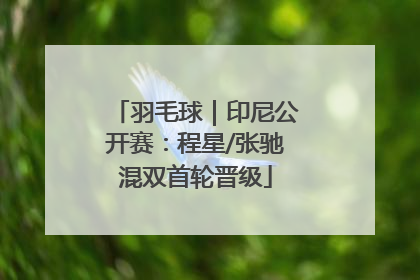 羽毛球｜印尼公开赛：程星/张驰混双首轮晋级