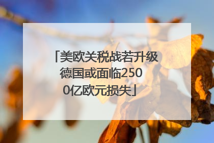 美欧关税战若升级 德国或面临2500亿欧元损失