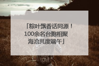 粽叶飘香话同源！100余名台胞相聚海沧共度端午