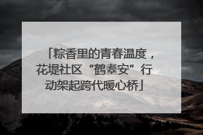粽香里的青春温度，花堤社区“鹤耋安”行动架起跨代暖心桥