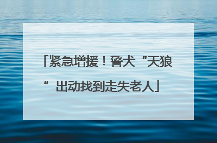 紧急增援！警犬“天狼”出动找到走失老人