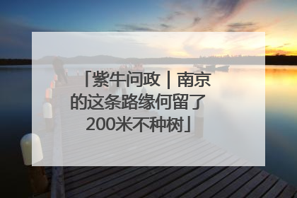 紫牛问政｜南京的这条路缘何留了200米不种树