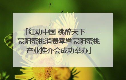 红动中国 桃醉天下——蒙阴蜜桃消费季暨蒙阴蜜桃产业推介会成功举办