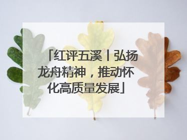 红评五溪丨弘扬龙舟精神，推动怀化高质量发展