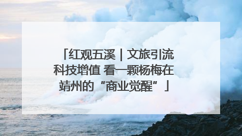 红观五溪｜文旅引流 科技增值 看一颗杨梅在靖州的“商业觉醒”
