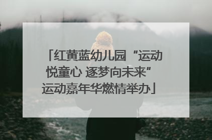 红黄蓝幼儿园“运动悦童心 逐梦向未来”运动嘉年华燃情举办