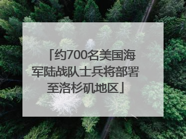 约700名美国海军陆战队士兵将部署至洛杉矶地区