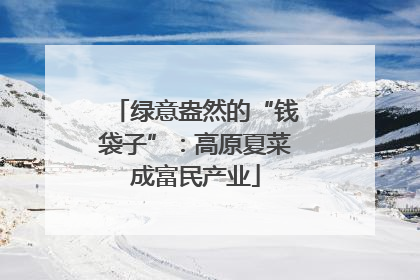 绿意盎然的“钱袋子”：高原夏菜成富民产业