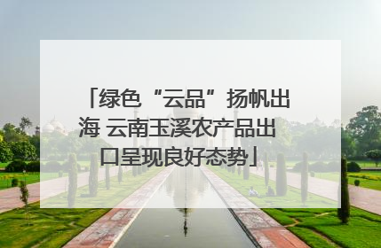 绿色“云品”扬帆出海 云南玉溪农产品出口呈现良好态势