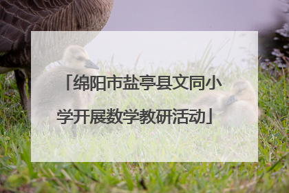 绵阳市盐亭县文同小学开展数学教研活动